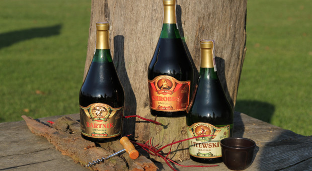 Długa tradycja, słaba sprzedaż. Co blokuje rozwój rynku miodów pitnych w Polsce? (WYWIAD)