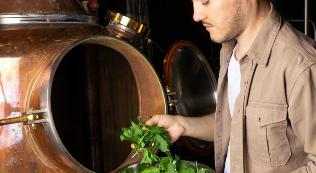 "To wyzwanie dla krajowych producentów". Jak polski gin radzi sobie na zagranicznych rynkach? (WYWIAD)