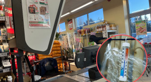 Poseł interweniuje w Dino. "Robienie z ludzi mrożonki się opłaca"