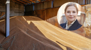 Eksport zbóż i ryzyko Mercosur. "To będzie bardzo wymagający sezon"