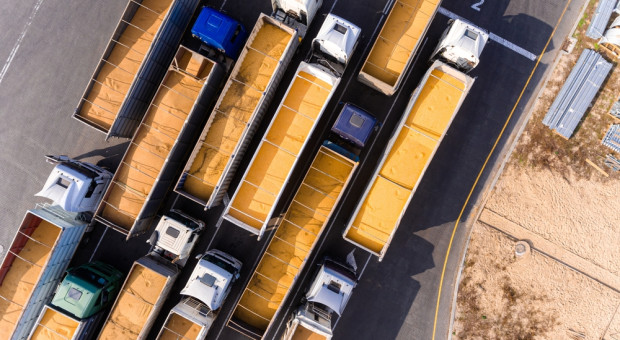 Polskie zboże pod presją. Ryzyko wypychania z rynku i spadku popytu