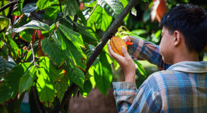 Po rekordach czas na spadki. Co dalej z cenami czekolady?