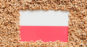 Napoje napędzają eksport polskiej żywności