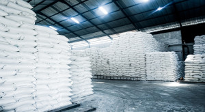 Polska branża cukrownicza pod naporem regulacji i konkurencji. Nowy raport