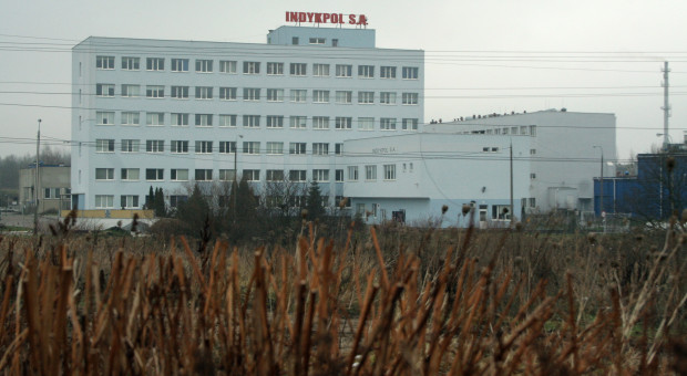 Duża inwestycja w polskim drobiarstwie. Indykpol rozbuduje zakład za blisko 300 mln zł