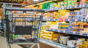 Biedronka rośnie, Dino spowalnia, Carrefour się  kurczy. Marzec odsłania obraz handlu