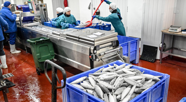 To największe wyzwanie dla branży rybnej. "Wciąż za mało się o tym mówi"