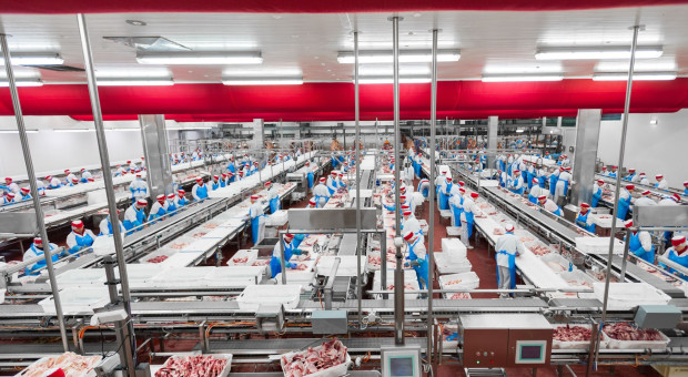 Sezon grillowy wyzwaniem dla branży mięsnej. Brakuje pracowników