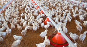 Planowanie przestrzenne nie ochroni funkcji produkcyjnej wsi?