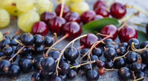 Ustalali ceny owoców za plecami rolników. Kary od UOKiK za zmowę cenową