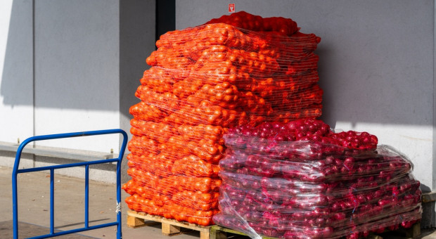 Żywność w zakupach publicznych. Państwo stawia na jakość i ekologię