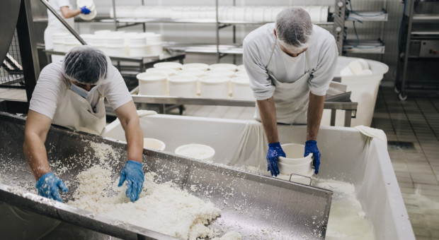 Masło i mozzarella drożeją na aukcjach. Branża patrzy ostrożnie