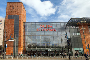 Zakupy, nie rozrywka. Tak Polacy korzystają z galerii handlowych