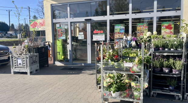 Dino miało "cichy" projekt w internecie. Teraz trudno znaleźć po nim ślad