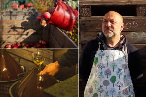 Mit jabłkowej potęgi. Dlaczego cydr nie powtórzył sukcesu piwa kraftowego (WYWIAD)