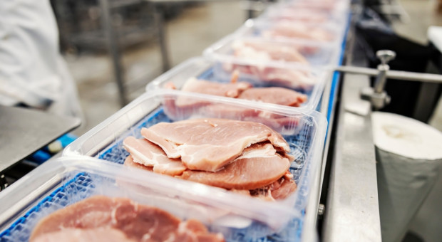 Cedrob Foods odbudowuje zakład po pożarze. "Jesteśmy zaskoczeni skalą procedur"