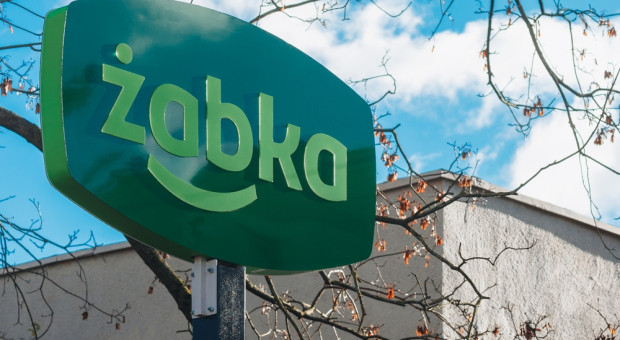 Japoński gigant zainteresowany Żabką. Giełda reaguje