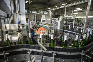 Resort finansów zaskoczył producentów cydru. Szykuje się rekordowy wzrost akcyzy