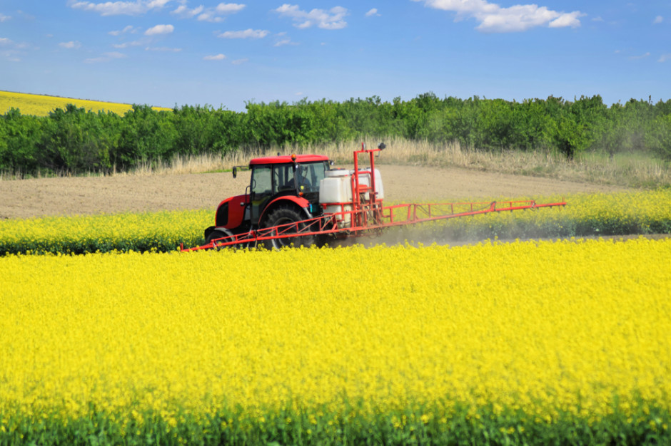 Kwestionowane przez UOKiK klauzule dotyczyły dostaw zakontraktowanych produktów rolnych, w tym rzepaku. Fot. Zvone / Shutterstock