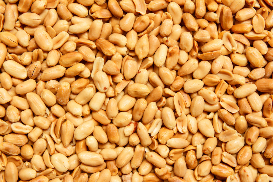 Major investment in the food industry: dried fruit and nut producer expands facility