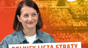 Jesienią żywność może zdrożeć. Rolnicy liczą koszty, a rynek reaguje na geopolitykę i pogodę