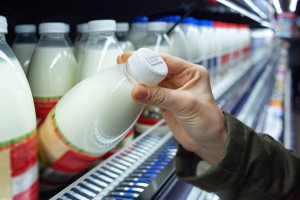 Mleko na Podlasiu prawie najdroższe w Europie. Na rynku brak równowagi